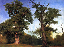 Load image into Gallery viewer, Pioneers of the Woods