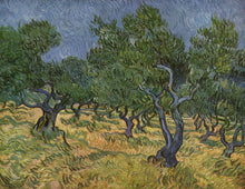 Load image into Gallery viewer, Plantation d oliviers 1 1889