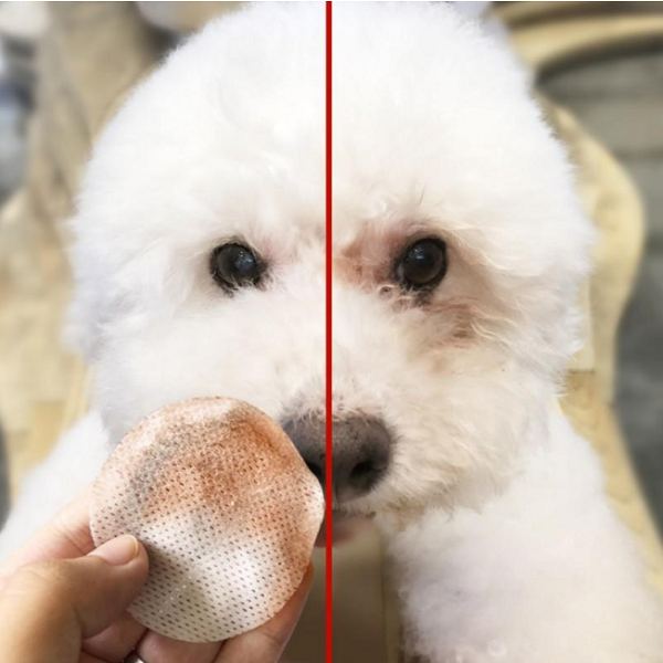 Pet Eye Grooming Wipes（100 pcs）