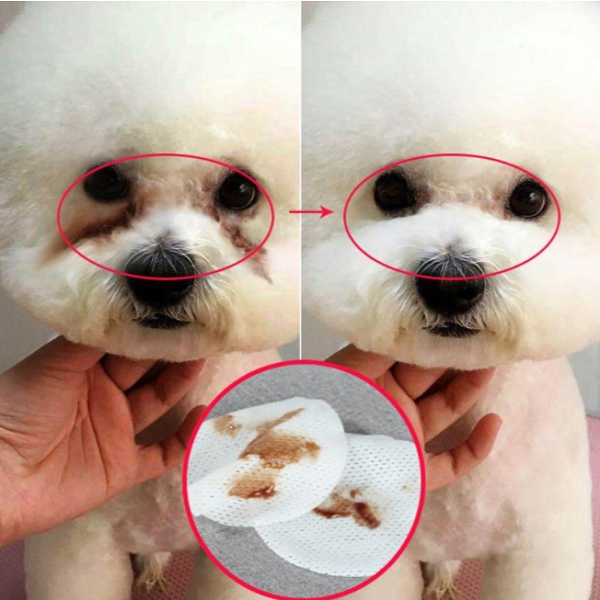 Pet Eye Grooming Wipes（100 pcs）