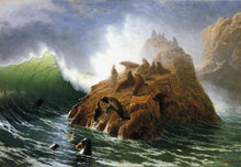 Load image into Gallery viewer, Seal Rock
