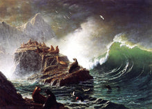 Load image into Gallery viewer, Seals on the Rocks Farallon Islands
