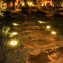 Load image into Gallery viewer, Solar Powered LED Path Light