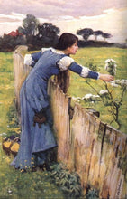Load image into Gallery viewer, The Flower Picker