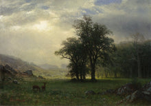 Load image into Gallery viewer, The Open Glen
