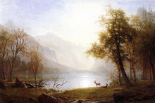 Load image into Gallery viewer, Valley in Kings Canyon