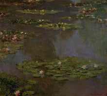 Load image into Gallery viewer, Water Lilies 05