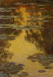 Water Lilies 11