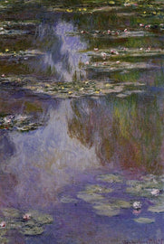 Water Lilies 15