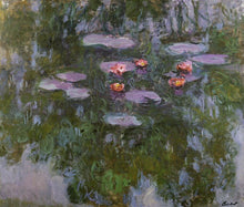 Load image into Gallery viewer, Water Lilies 23