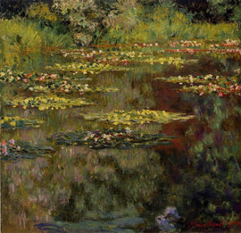 Water Lilies 27