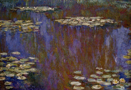 Water Lilies 28