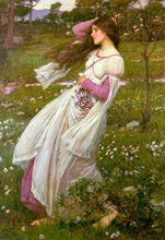Load image into Gallery viewer, Windswept