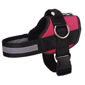 【70% OFF PROMOTION ONLY TODAY】World's Best Dog Harness - 2020 Version