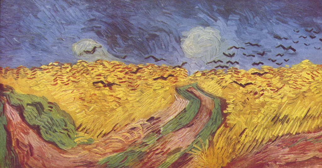 birds on the fields