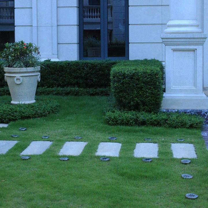 Solar LED Disk Lights