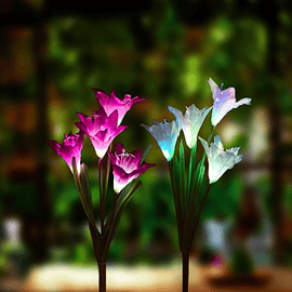 Solar Powered  Lily Flower & butterfly Light